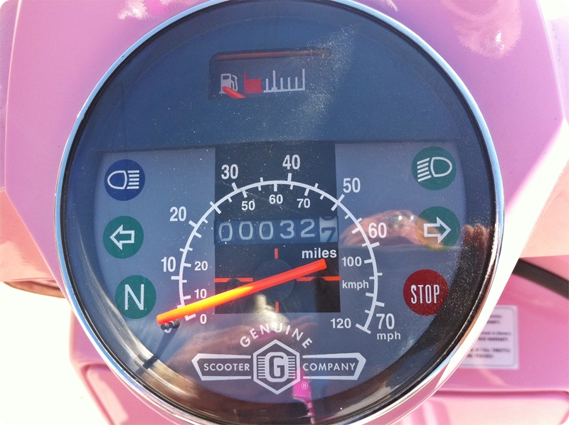 pink stella for sale