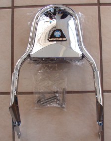 gv 650 sissy bar