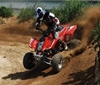 te 450 rooster