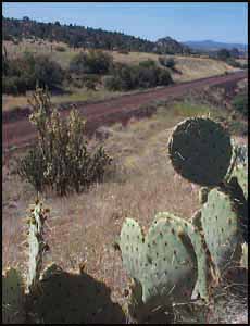 peavine trail